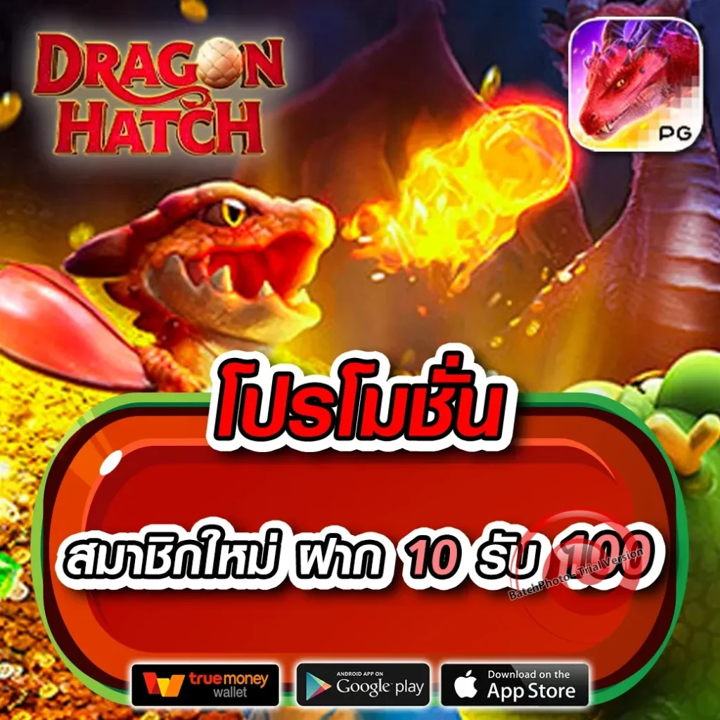 ZXZ เว็บสล็อต